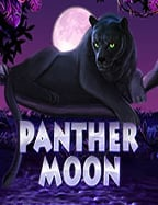 วิธีเล่นคาสิโน สด ประสบการณ์ใหม่ที่ต้องลอง