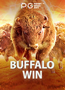 ลงทะเบียนฟรี dafabet ดีไหม เล่นง่ายแตกจริงหรือเปล่า